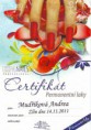 /album/certifikaty/pernamentni-laky-jpg/